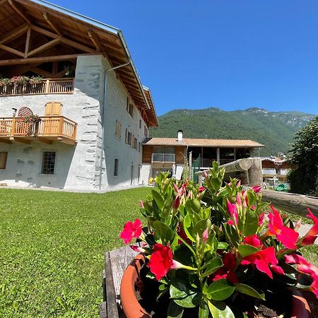 La Lesivera Bed And Breakfast Tione di Trento Exteriér fotografie